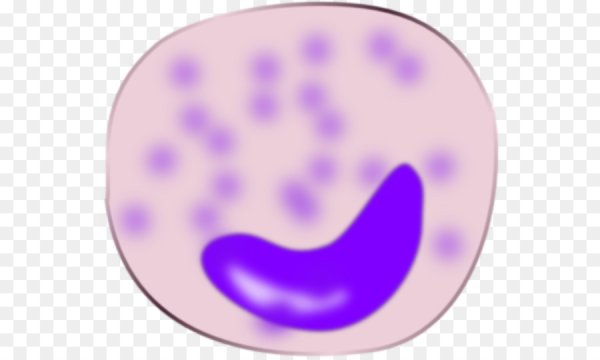 Макрофаг на белом фоне