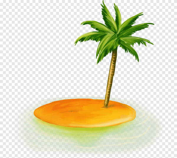 Пальма остров острова для детей