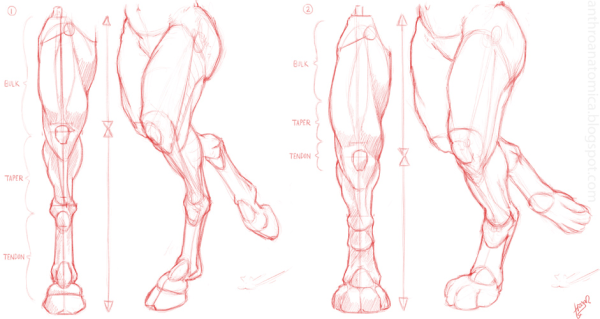 Копыта нарисованные