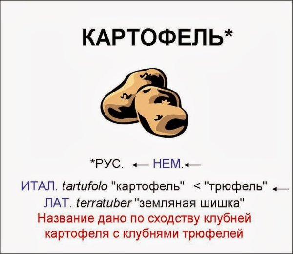 Рисунок на тему этимология