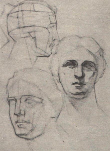 Академия Штиглица гипсовые головы