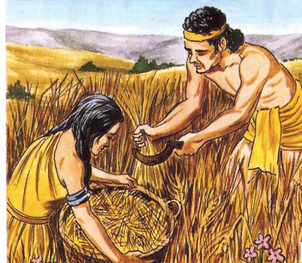 Древняя Греция земледелие и скотоводство