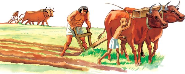 Хозяйство древнего Египта земледелие