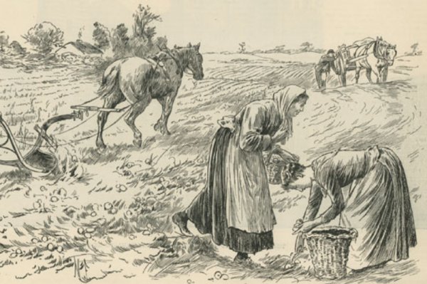 Сельское хозяйство в 17 веке в России