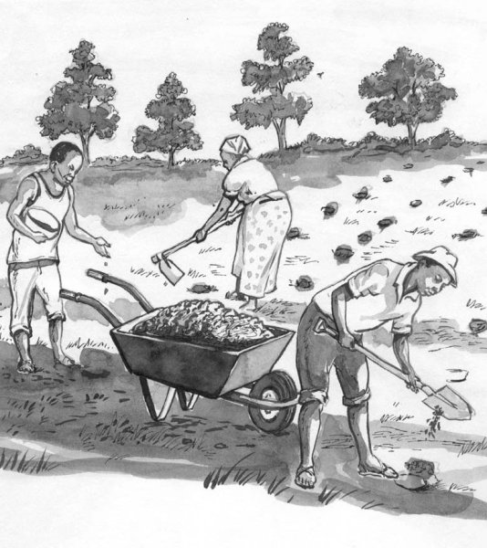 Сельское хозяйство зарисовки