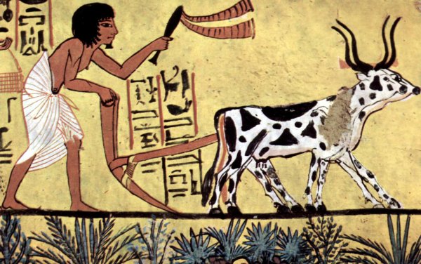 Земледелие в древнем Египте