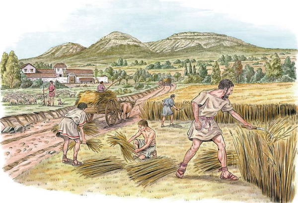 Земледелие в древнем Риме