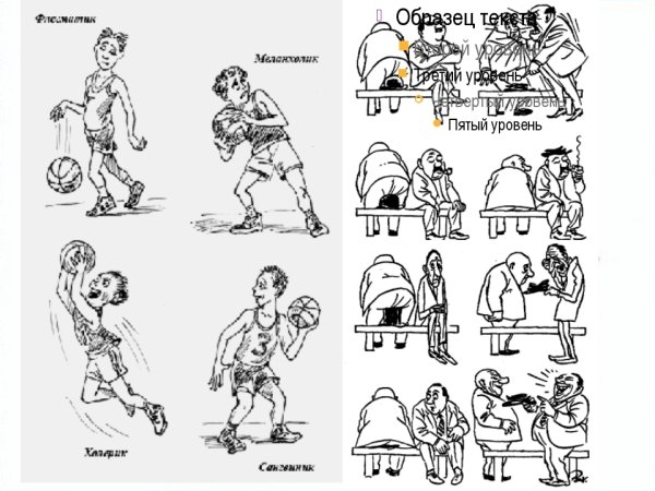 Темперамент иллюстрации