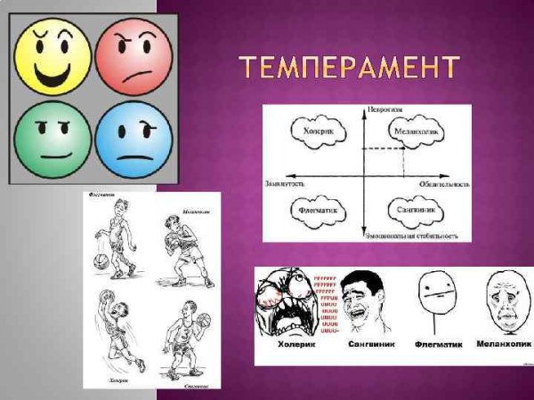 Портреты темпераментов