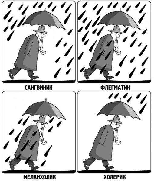 Типы темперамента картинки