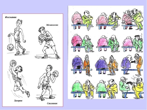 Типы темперамента меланхолик флегматик