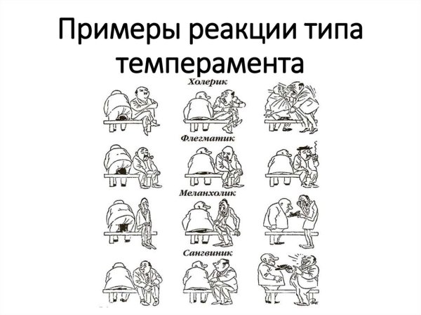Рисунки Тип темперамента сангвиник