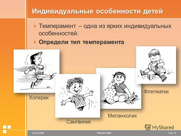 Дети холерического темперамента