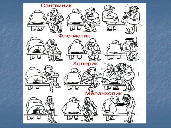 Флегматик меланхолик сангвиник