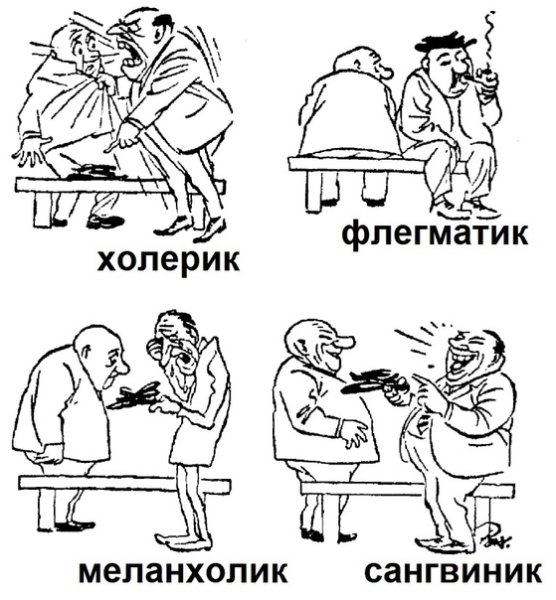 Темперамент холерик сангвиник флегматик меланхолик