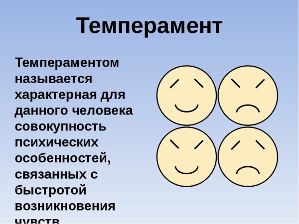 Темперамент это в психологии