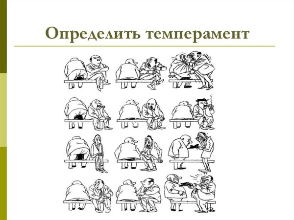 Определить Тип темперамента