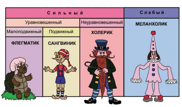 Типы темперамента картинки