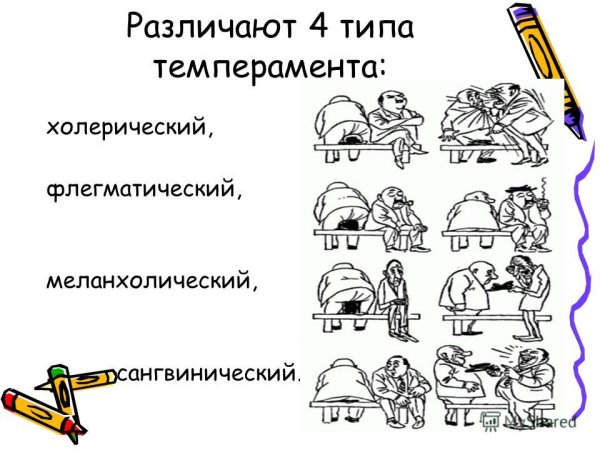 Четыре вида темперамента