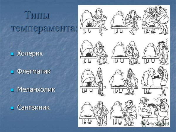 Темперамент холерик сангвиник флегматик меланхолик