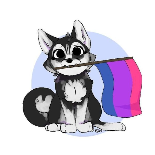 Кот с флагом би