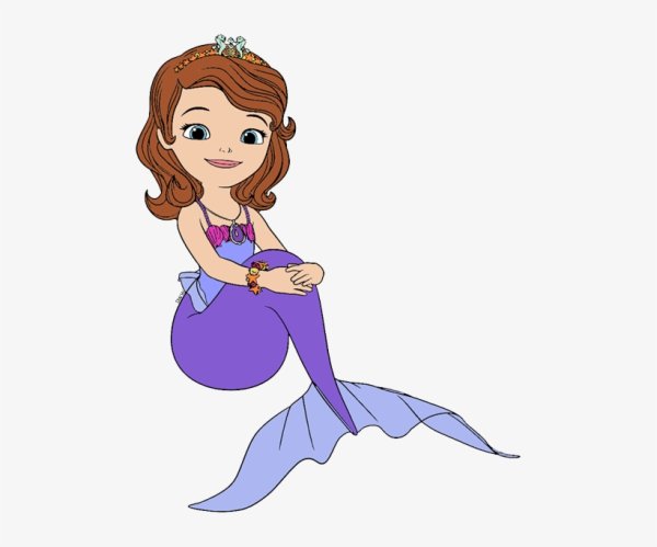 София для рисования