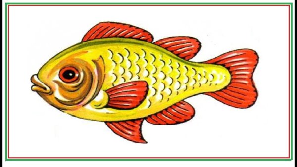Нарисовать карася