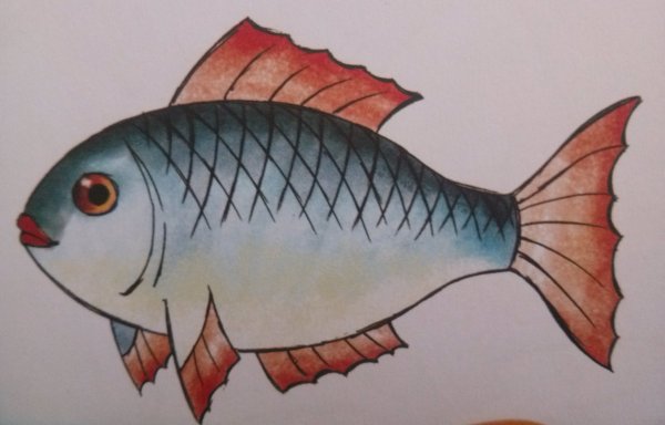 Карась (Carassius Carassius)