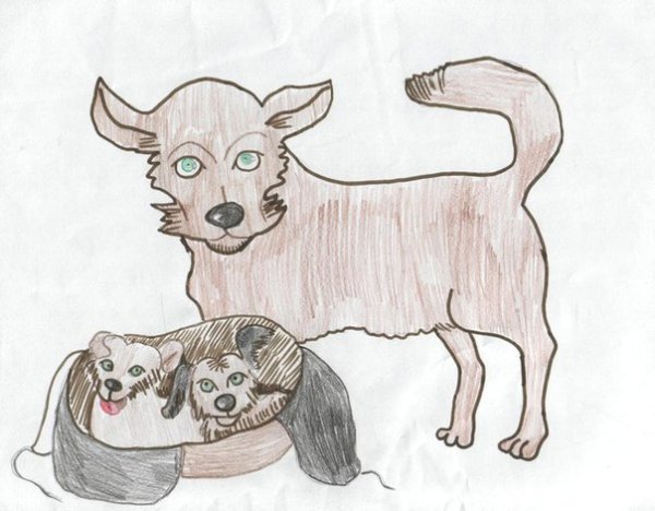 Василий Белов малька провинилась рисунки