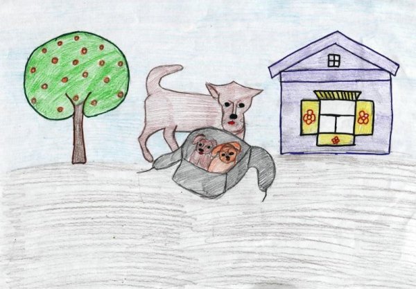 Малька провинилась иллюстрации