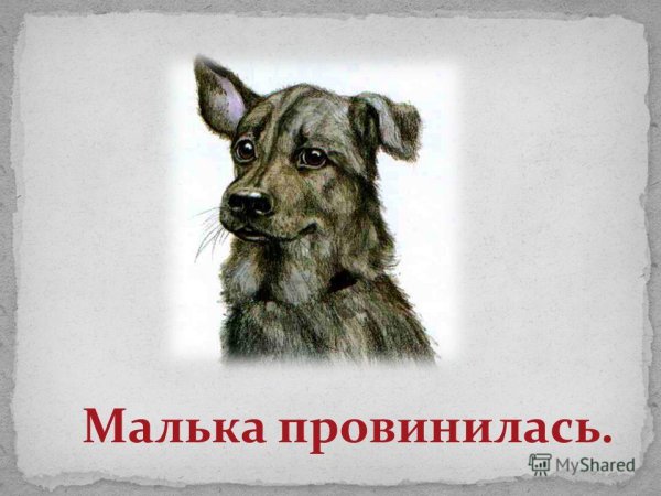 Василий Белов Малика провинилась