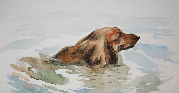 Собака у моря акварель