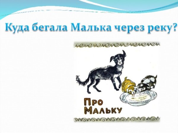 Синквейн малька провинилась