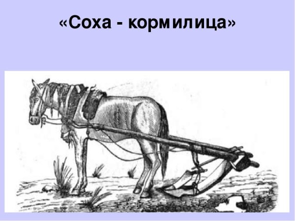 Деревянная Соха с железным сошником