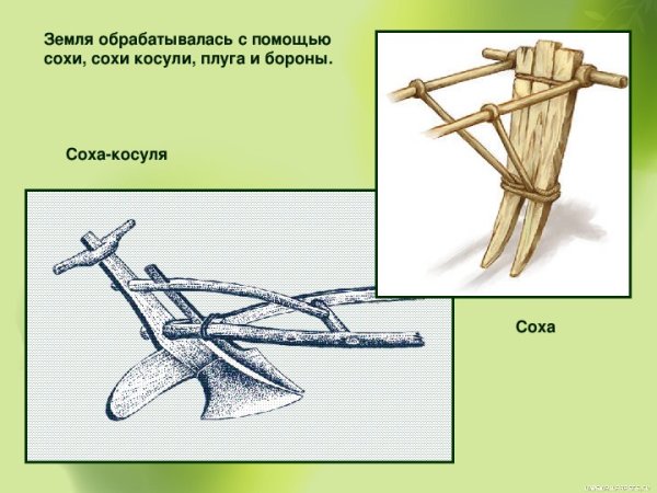 Соха Соха косуля плуг борона