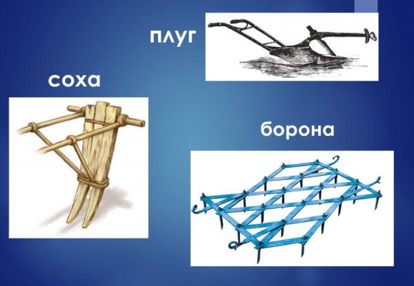 Соха Соха косуля плуг борона