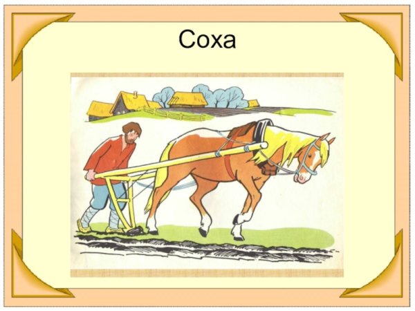 Соха мера площади