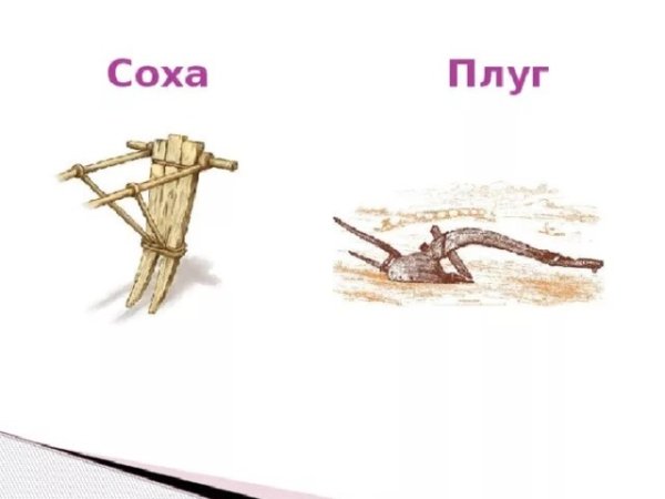 Рало плуг Соха различия