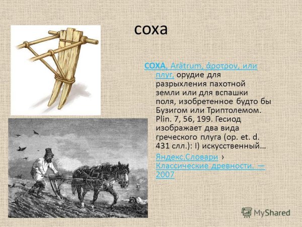 Двузубая Соха с железным наконечником