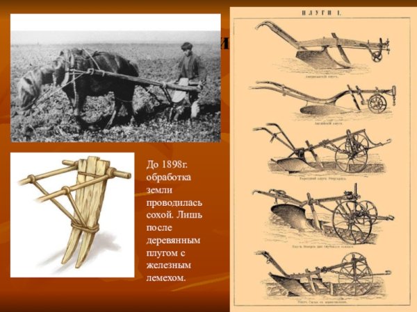 Рало восточных славян