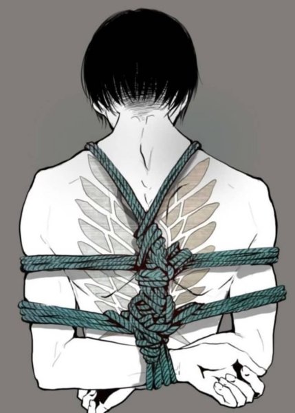 Шибари атака титанов