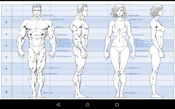 Пропорции тела мужчины для рисования