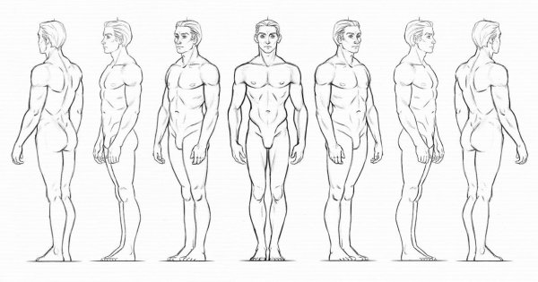 Женская фигура рисунок
