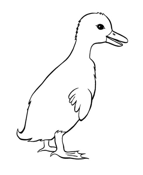 Гусенок мультяшный