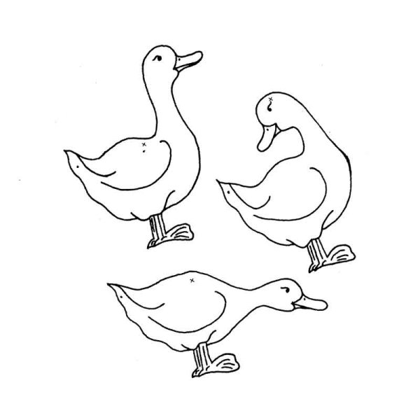 Утка раскраска