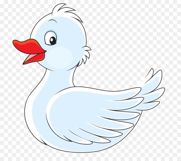 Гусенок раскраска для детей