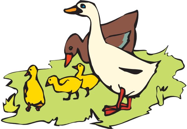 Гусенок на белом фоне