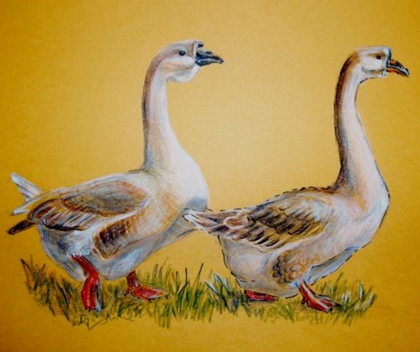 Гусь сказочный