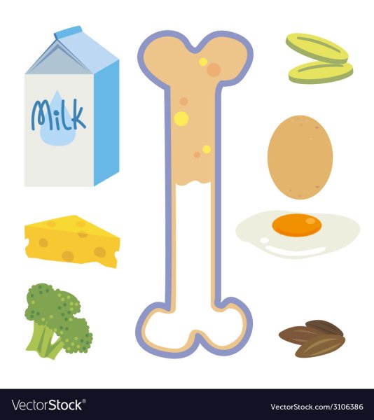 Кальций вектор