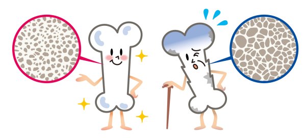 Кальций хим элемент